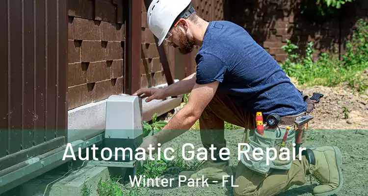 Automatic Gate Repair Winter Park - FL
