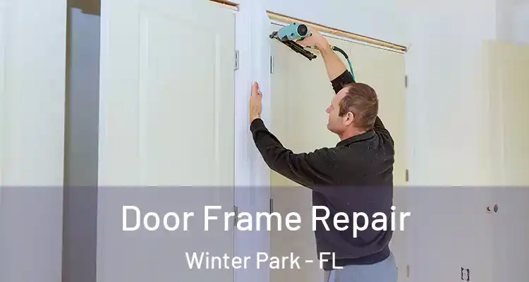 Door Frame Repair Winter Park - FL