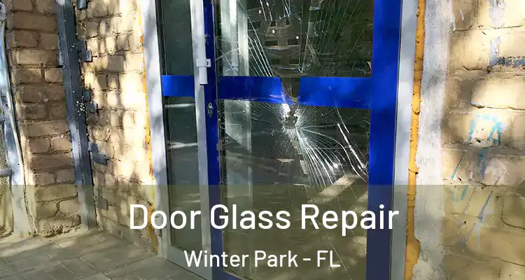 Door Glass Repair Winter Park - FL