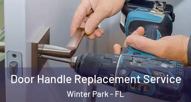 Door Handle Replacement Service Winter Park - FL