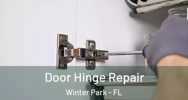 Door Hinge Repair Winter Park - FL