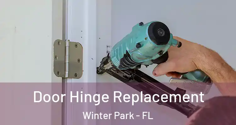 Door Hinge Replacement Winter Park - FL