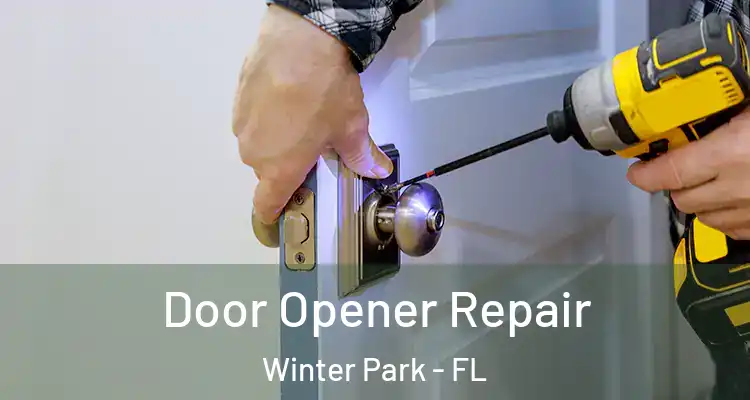 Door Opener Repair Winter Park - FL