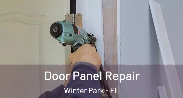 Door Panel Repair Winter Park - FL