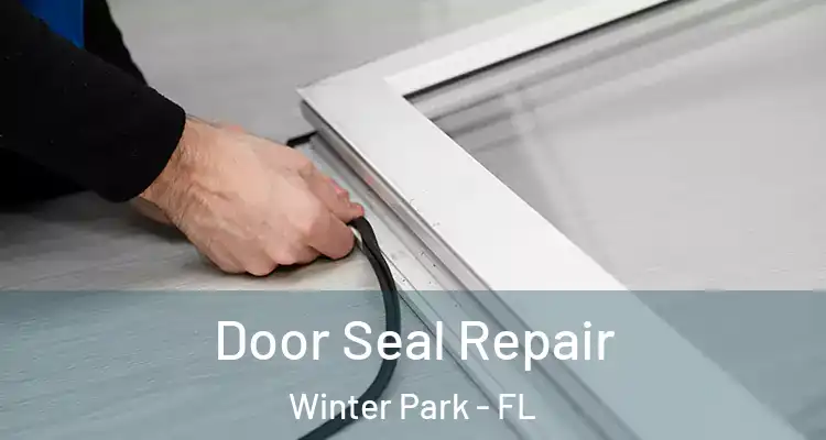 Door Seal Repair Winter Park - FL