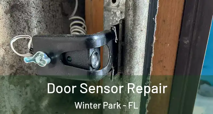Door Sensor Repair Winter Park - FL