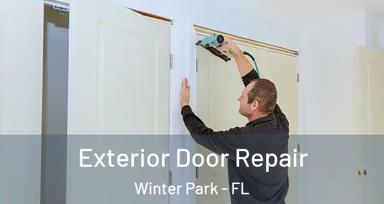 Exterior Door Repair Winter Park - FL