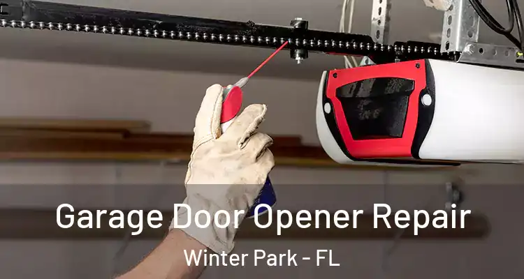 Garage Door Opener Repair Winter Park - FL