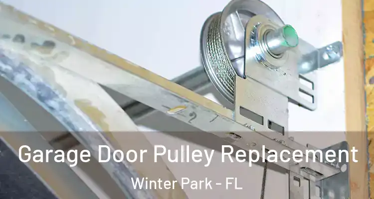 Garage Door Pulley Replacement Winter Park - FL