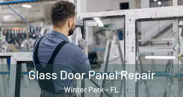 Glass Door Panel Repair Winter Park - FL
