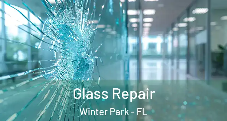Glass Repair Winter Park - FL