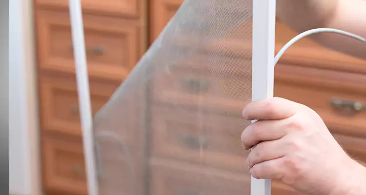 Privacy Mesh Screen Door Installation in Winter Park, FL