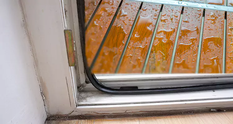Water Leaking Wooden Patio Doors Repair in Winter Park, FL