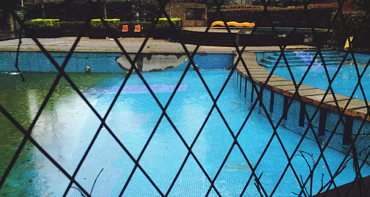 Lanai Screen Repair in Winter Park, FL