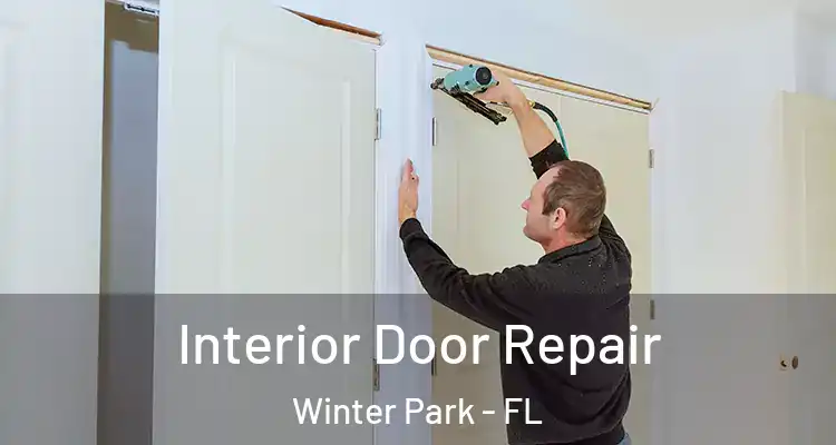 Interior Door Repair Winter Park - FL