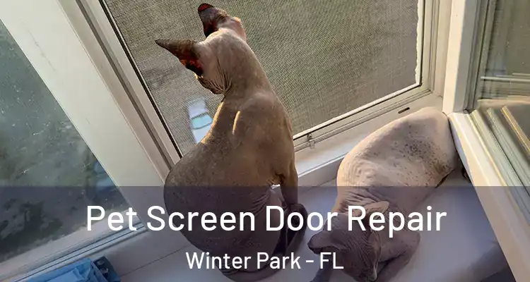 Pet Screen Door Repair Winter Park - FL