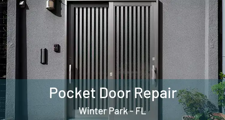 Pocket Door Repair Winter Park - FL