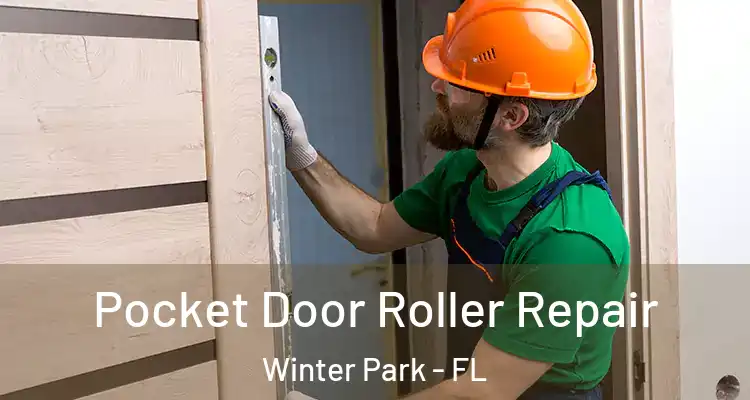 Pocket Door Roller Repair Winter Park - FL