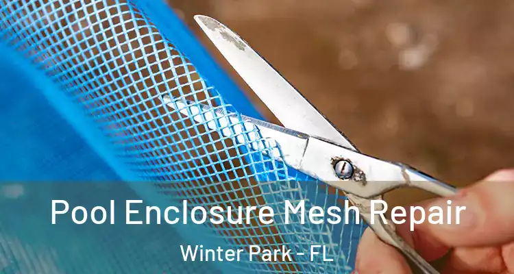 Pool Enclosure Mesh Repair Winter Park - FL