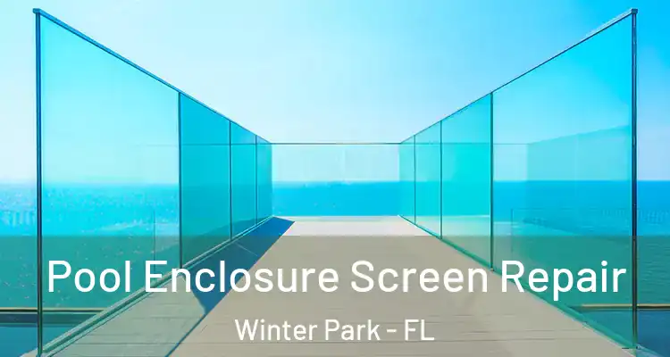 Pool Enclosure Screen Repair Winter Park - FL