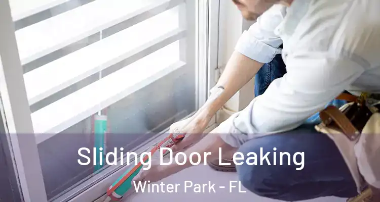 Sliding Door Leaking Winter Park - FL