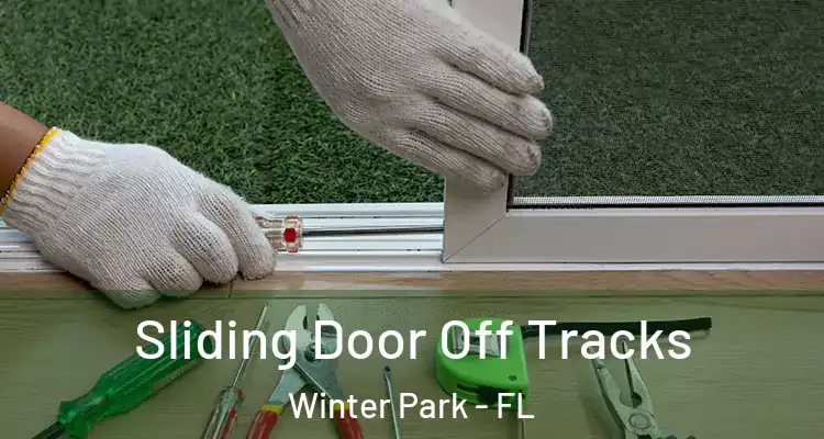 Sliding Door Off Tracks Winter Park - FL