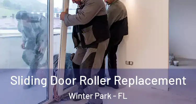 Sliding Door Roller Replacement Winter Park - FL