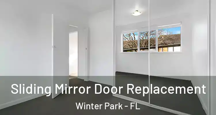 Sliding Mirror Door Replacement Winter Park - FL