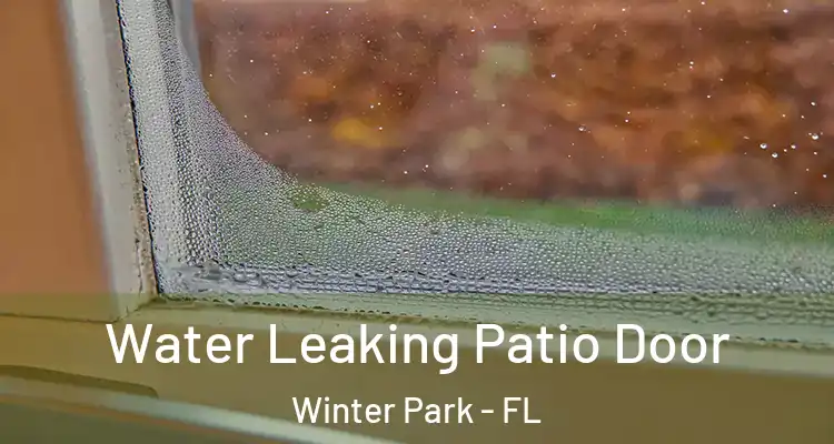 Water Leaking Patio Door Winter Park - FL
