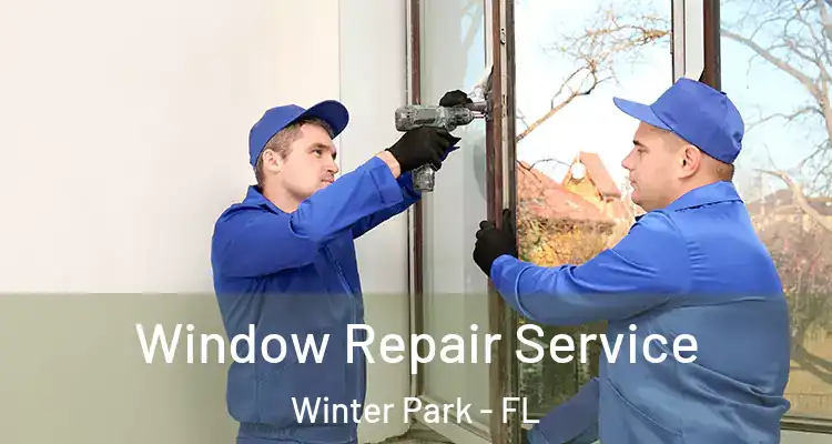 Window Repair Service Winter Park - FL