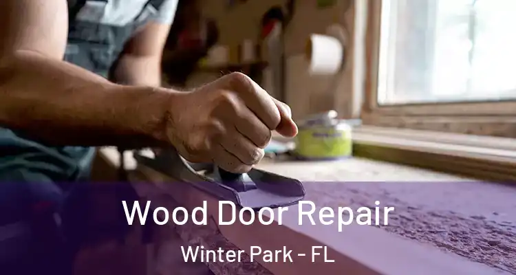 Wood Door Repair Winter Park - FL